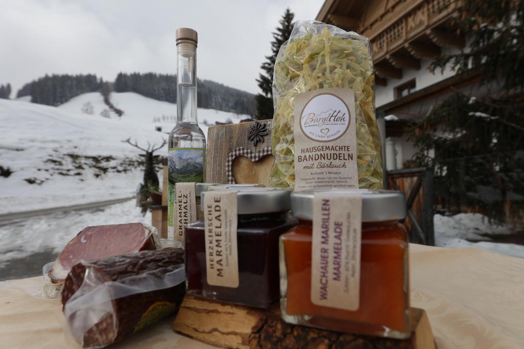 Hotel Und Alpen Apartments Mit Sauna - Buerglhoeh Bischofshofen Eksteriør bilde